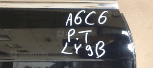 Drzwi prawy tył tylne prawe Audi A6 C6 LY9B 7
