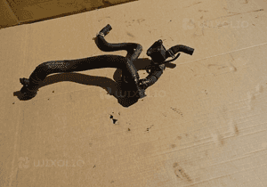 Wąż wody chłodnicy seat vw exeo 2.0 tdi 2