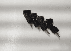 CZUJNIK PARKOWANIA COFANIA PDC PARTNER BERLINGO III 9663821577XT 0263003587 5