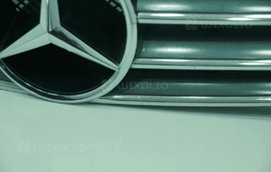 Grill atrapa chrom mercedes cl W215 9