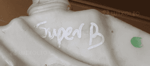 Zbiorniczek spryskiwaczy pompka Skoda Superb I 3B0955453AF 3B0955453AG 6