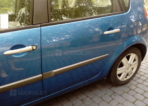 Renault Scenic II drzwi tyl tylne prawe  TEI45 1