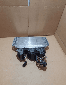 SCENIC II MEGANE II MODUŁ UPC USM 8200481866-J 9