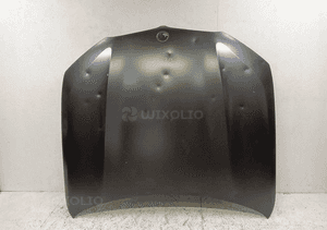 Maska pokrywa silnika bmw X5 G05 X6 G06 18- 1