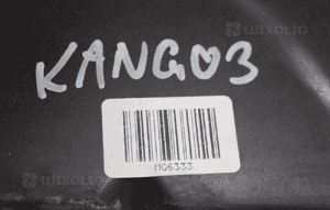 Mocowanie prawego błotnika Renault Kangoo III 4