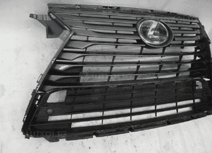 Lexus rx lift atrapa grill 2