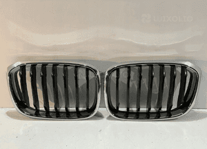 BMW X3 G01 / X4 G02 Grill / Nerka / Lewa - 14601 5