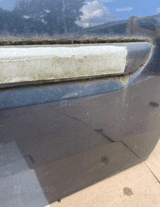 Drzwi prawy przod renault laguna iii 3 TEB66 org 9