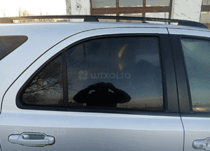 Drzwi prawy tył tylne prawe Kia Sorento 3