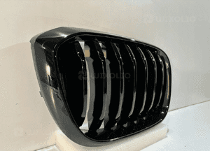 BMW X3 G01 / X4 G02 Grill / Nerka / Prawa - 14620 2