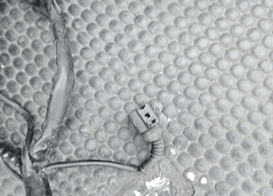 Wiazka 8E1971072EQ Instalacja Silnika 2.0 ALT 20V 130KM Europa Manual Audi A4 B6 32