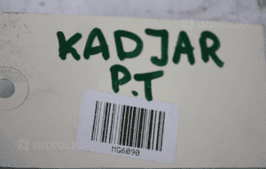 Zacisk hamulcowy prawy tylny Renault Kadjar 4