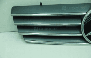 Grill atrapa maski mercedes cl W215 3