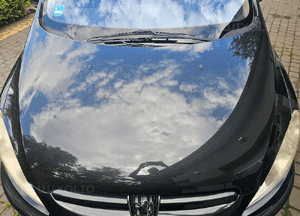 Peugeot 307  maska EXLD 2