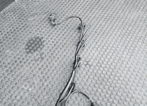 Wiazka 8E1971072EQ Instalacja Silnika 2.0 ALT 20V 130KM Europa Manual Audi A4 B6 29