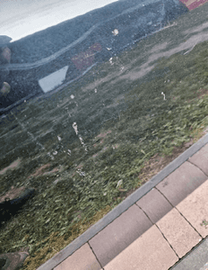 toyota verso 09-18 drzwi prawe przednie 1H2 3