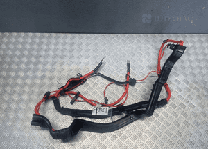 BMW F25 F26 WIĄZKA PLUSOWA 10299011 1