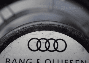 Głośnik basowy bang olufsen audi A4 B8 8T0035411D 4