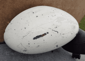 Lusterko elektryczne prawe mini cooper R55 R56 R57 5-PIN 5387 oryginał wysyłka! 2