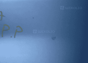 Błotnik prawy przód honda crv radom 2