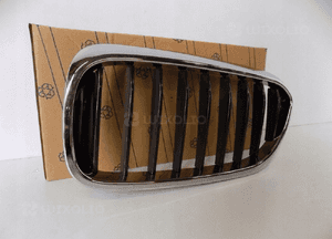 BMW 5 G30/G31 Nerka / Grill zderzaka lewa - 3829 2