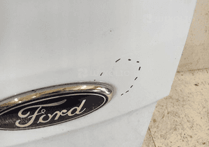 DRZWI PRAWE TYLNE PRAWY TYŁ FORD TRANSIT CUSTOM 2013- 5