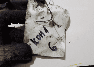 KOMPUTER STEROWNIK VW SHARAN 1.9 TDI 038906019LE ORYGINAŁ WYSYŁKA! 6