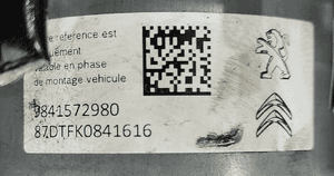 Pompa abs citroen jumpy peugeot expert iii 9841572980 9827551180 4