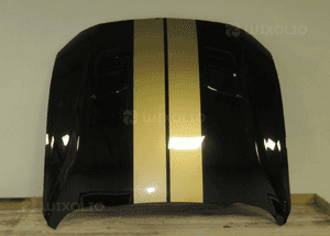 Maska pokrywa silnika ford mustang vi 6 gt lift V8 2017- 5