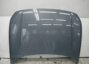 Polestar ii 2 bdb maska pokrywa 1