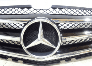 Grill atrapa mercedes W251 r-kl lift A2518880060 3