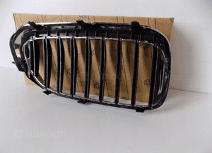 BMW 5 G30/G31 Nerka / Grill zderzaka lewa - 3829 8