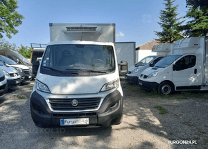 Kontener izoterma chłodnia thermo king V300 nr 622 5