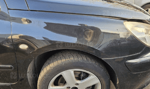 Peugeot 307 blotnik przod przedni prawy lewy EXLD 7