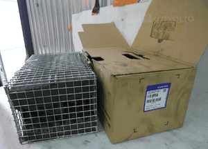 Airbag poduszka kierowcy volvo S60 1 i lift 08R 3