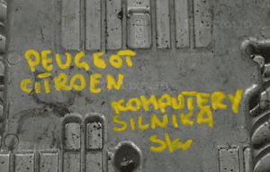 STEROWNIK SILNIKA PEUGEOT CITROEN  9800268980  DOSTĘNE 2 SZTUKI 8