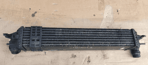 Intercooler chłodnica intercoolera Renault Laguna III 2.0 DCI 4