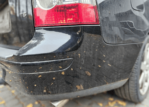 Volvo  V50 zderzak tyl tylny 019-26 2