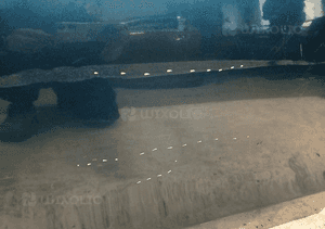 Drzwi lewe przednie lewy przód toyota yaris iii 3 11-17 4