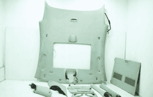Podsufitka kpl kolor 7G16 alpaka mercedes cl W215 6