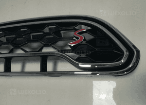 MINI COUNTRYMAN COOPER S 3 III grill ATRAPA KRATKA 2