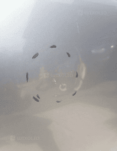 Drzwi prawe prawy przód Fiat Grande Punto 4