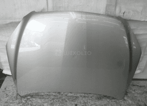 Toyota RAV4 06-10 maska przednia 1