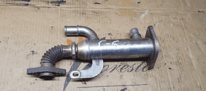 Chłodniczka spalin EGR Citroen C5 III 2.0 HDI 9645689780 5