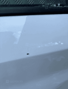 Drzwi prawy tyl tylne kpl peugeot 208 ii 2 org fv 5