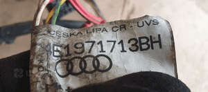Wiązka instalacja silnika Audi A8 D3 4.2 TDI 4E1971713BH 8