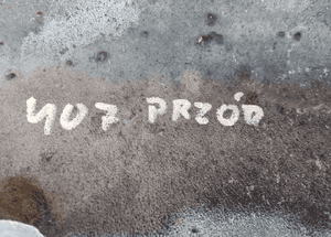 Wózek sanki przód Peugeot 407 2.0 HDI 9650785380 6
