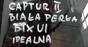 RENAULT CAPTUR II 2019-2024 klapa bagażnika idealna do założenia kolor BIXUI TQNC 6