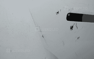 Jaguar i-pace X590 2018- drzwi prawy tył prawe tylne 6