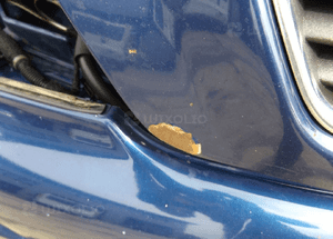 Grill maska pokrywa silnika opel astra ii g Z21B 2